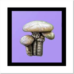 SHROOMTIME AGAIN Posters and Art